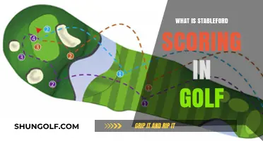 Understanding Stableford Scoring in Golf
