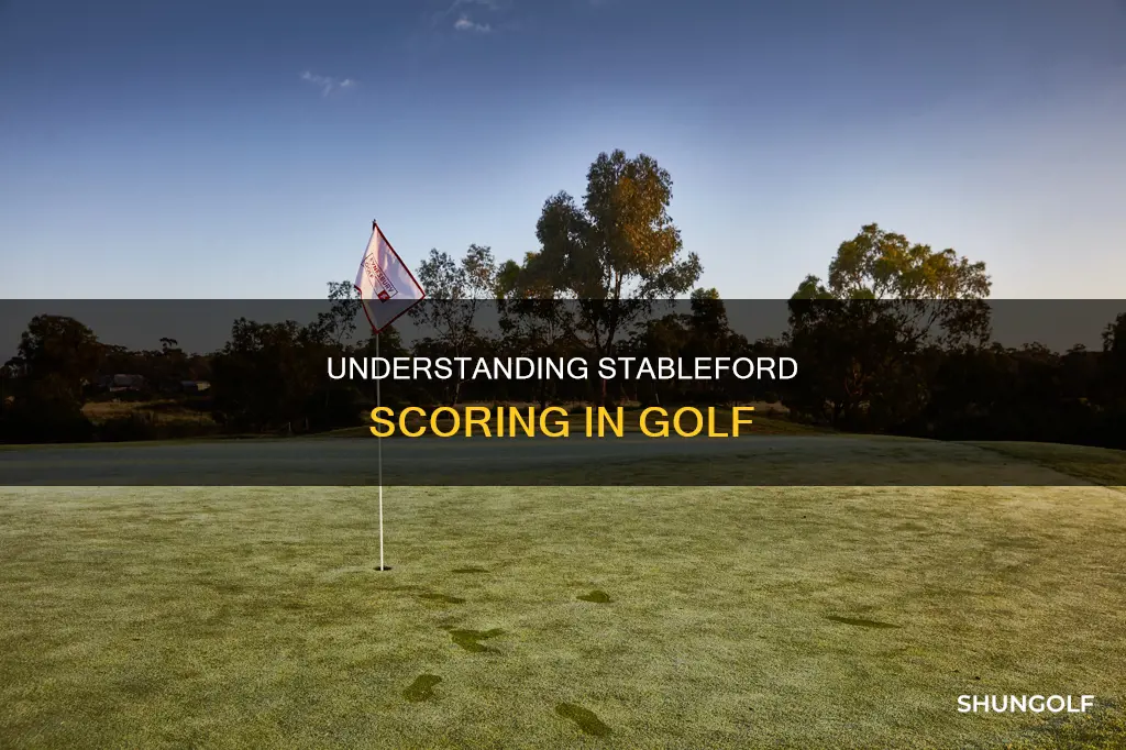 what is stableford scoring in golf