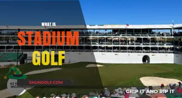 Stadium Golf: The Next Big Thing?