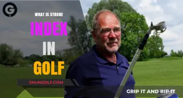 Stroke Index: Understanding Golf's Intricacies