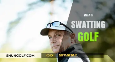 Swatting Golf: The Art of Mastering Power Shots