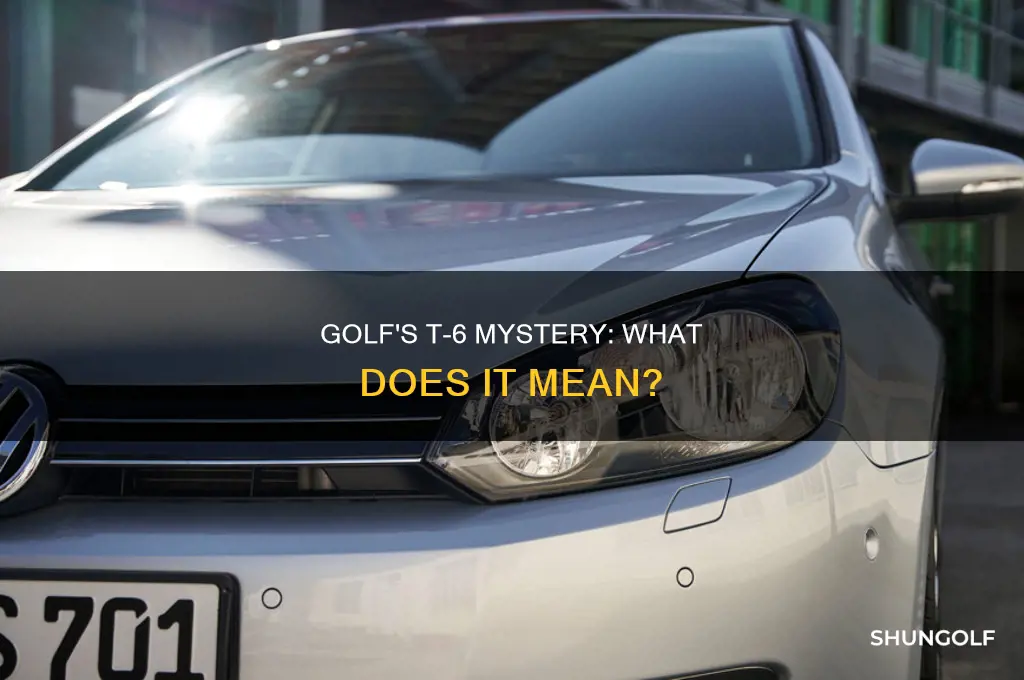 what is t-6 in golf