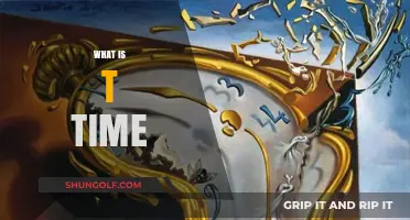 The Power of 'T-Time' for Productivity