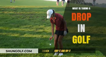 Understanding the Golf Drop: Rules, Techniques, and Strategic Use