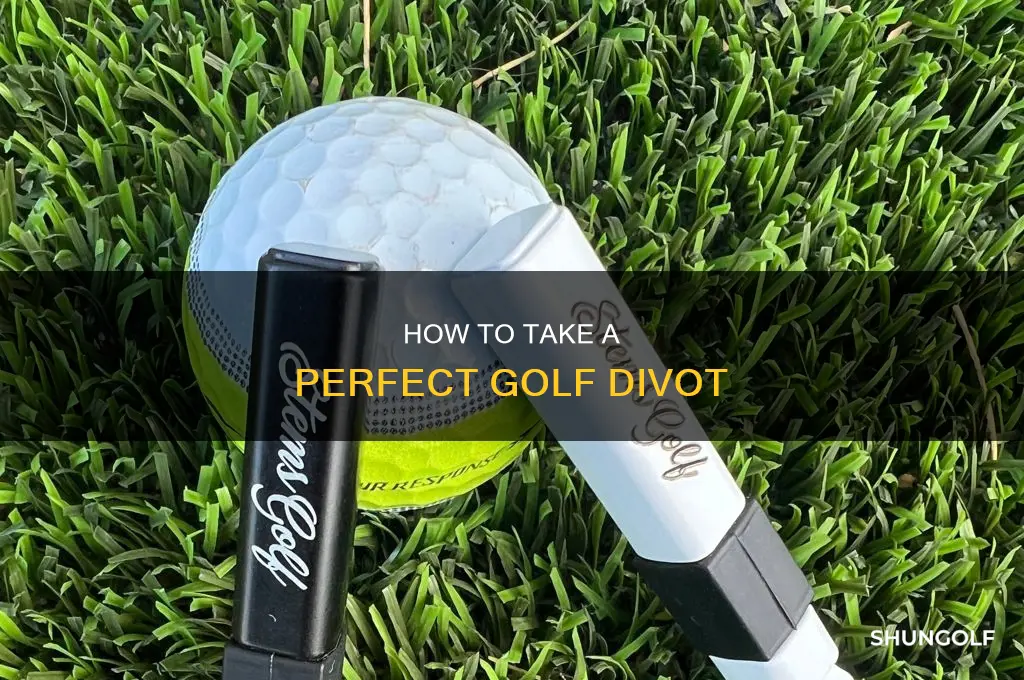 what is taking divots in golf