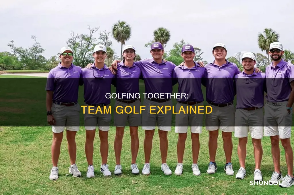 what is team golf