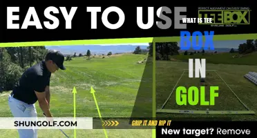 Tee Box Basics: Understanding Golf's Starting Point