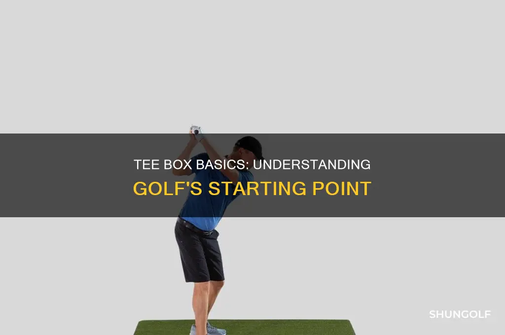 what is tee box in golf