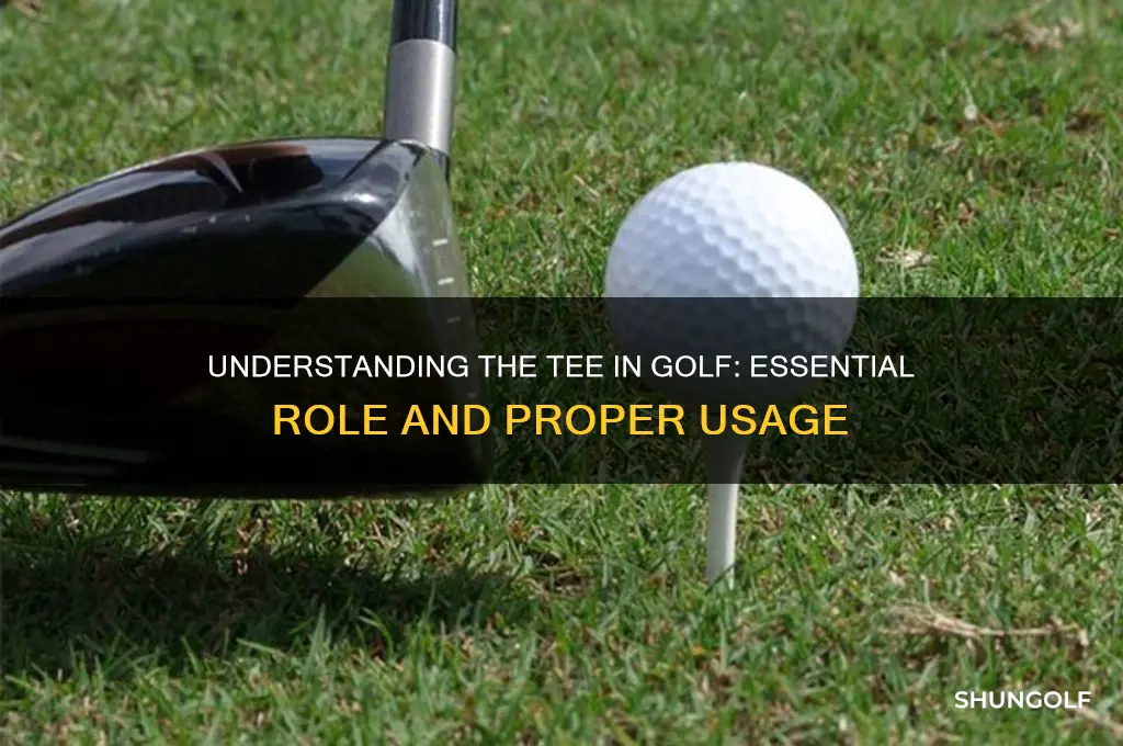 what is tee in golf game