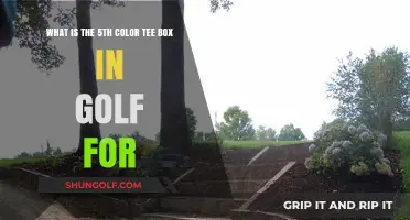Understanding the Purpose of the Gold Tee Box in Golf