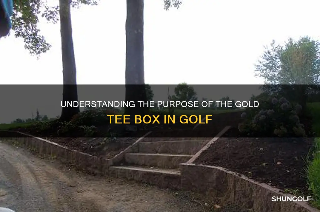what is the 5th color tee box in golf for