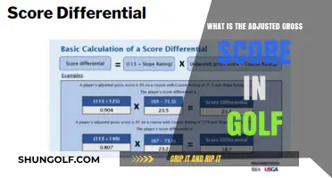 Understanding Golf's Adjusted Gross Score: A Comprehensive Guide for Players