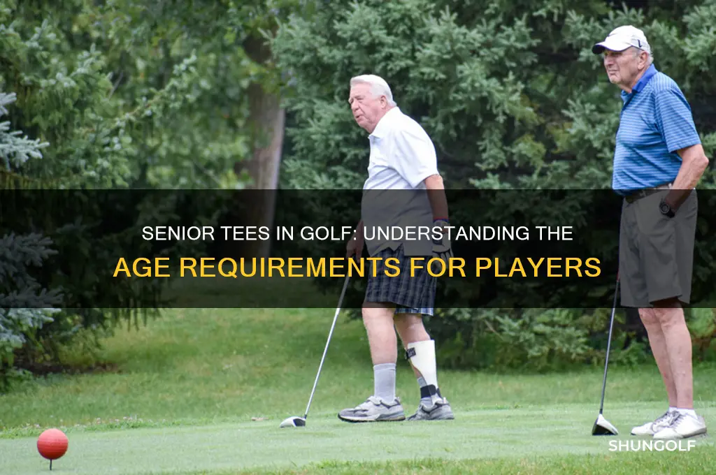 what is the age for senior tees in golf
