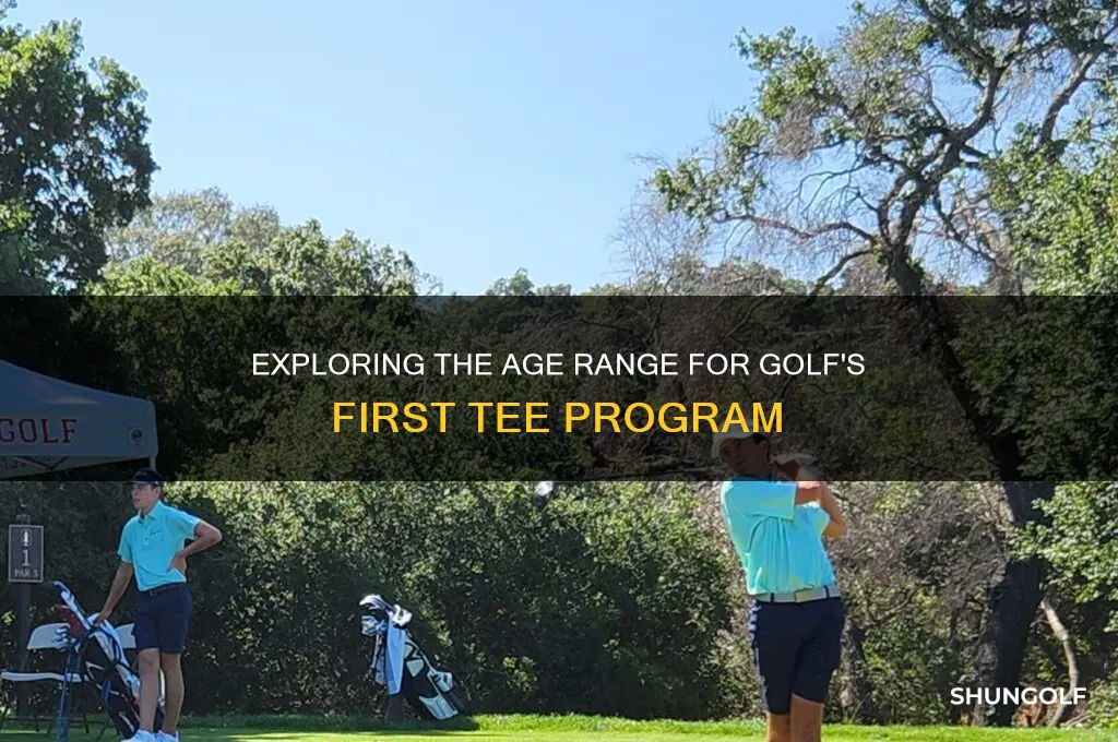 what is the age spread for golf 1st tee