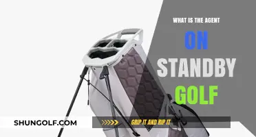Understanding the Role of an Agent on Standby in Golf