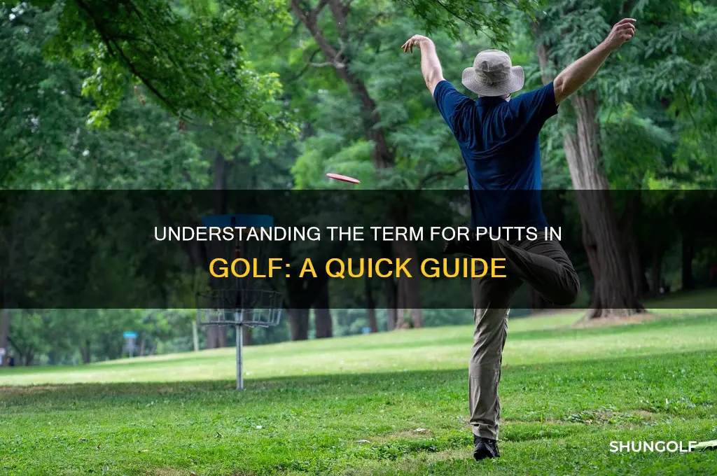 what is the amount of put in golf called