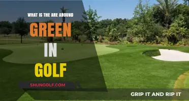 Understanding the Green's Surroundings: A Golf Course Anatomy Guide