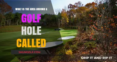 Understanding the Golf Green: The Area Around the Hole Explained