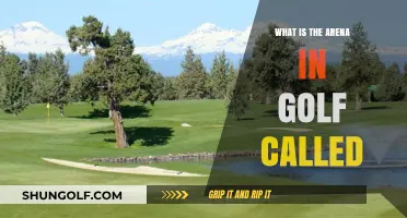 Understanding the Golf Arena: What Is It Actually Called?