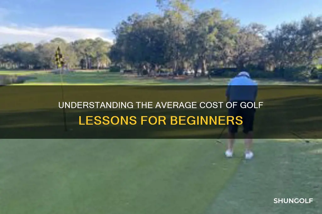what is the average cost for golf lessons