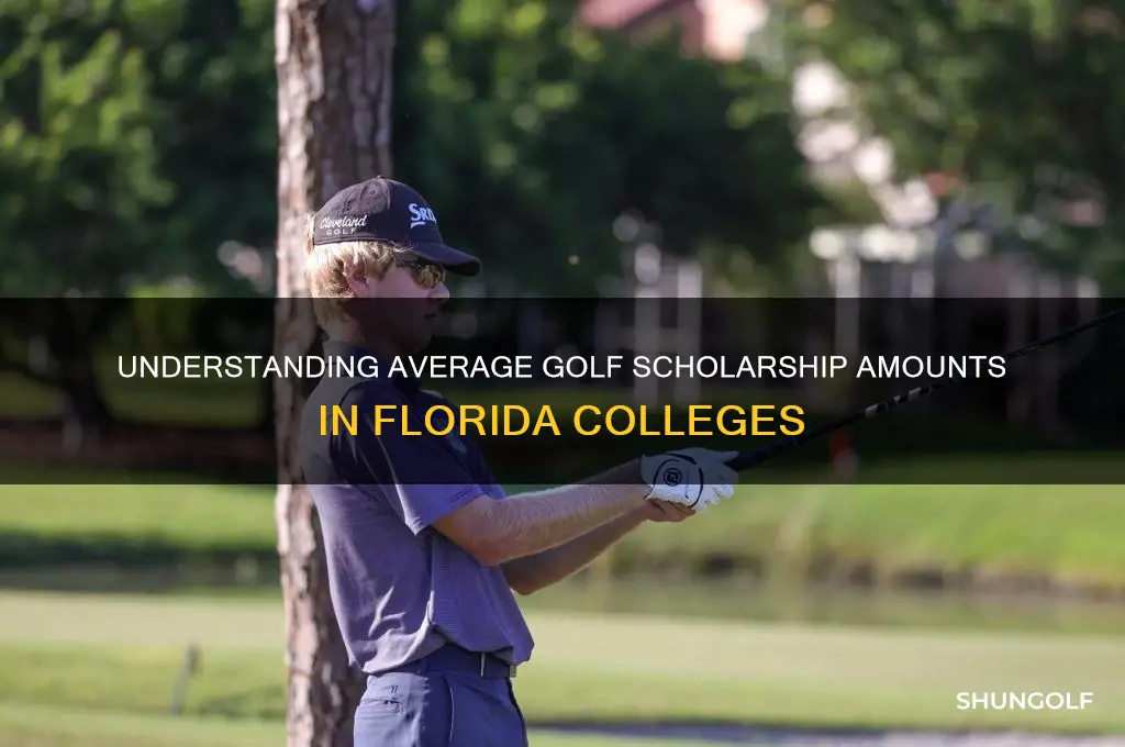 what is the average golf scholarship in florida