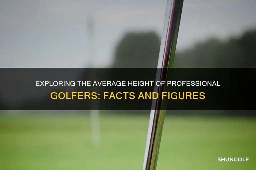 what is the average height of a golfer