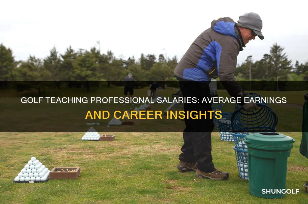 what is the average salary for a golf teaching professional