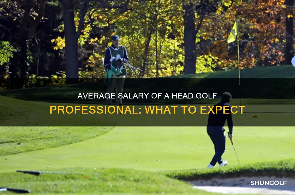 what is the average salary of a head golf professional