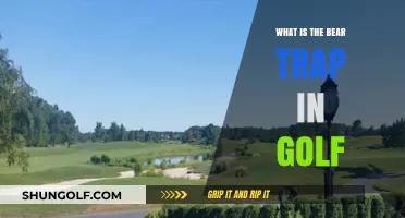 Understanding the Bear Trap: Golf's Infamous Course Challenge Explained