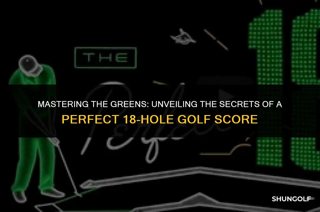 what is the best 18 hole golf score