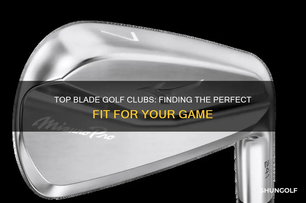 what is the best blade golf club