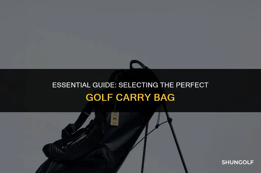 what is the best carry bag for golf