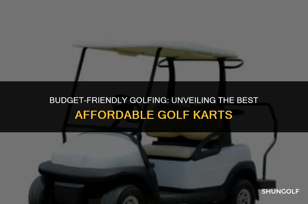 what is the best cheap golf karts