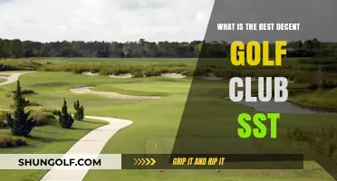 Discover the Best Decent Golf Club SST for Your Game