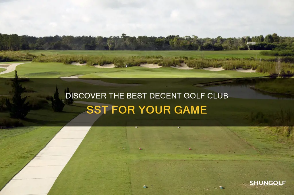 what is the best decent golf club sst