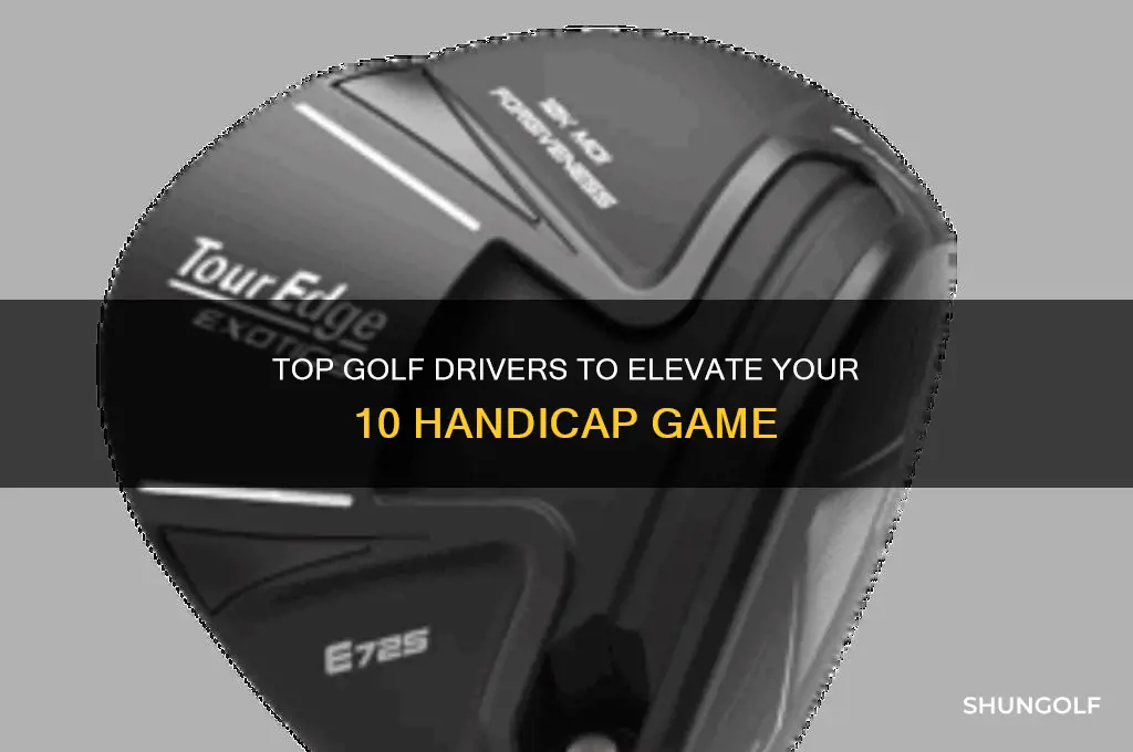 what is the best driver for a 10 handicap golfer