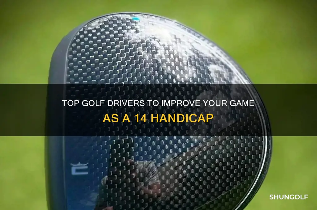 what is the best driver for a 14 handicap golfer