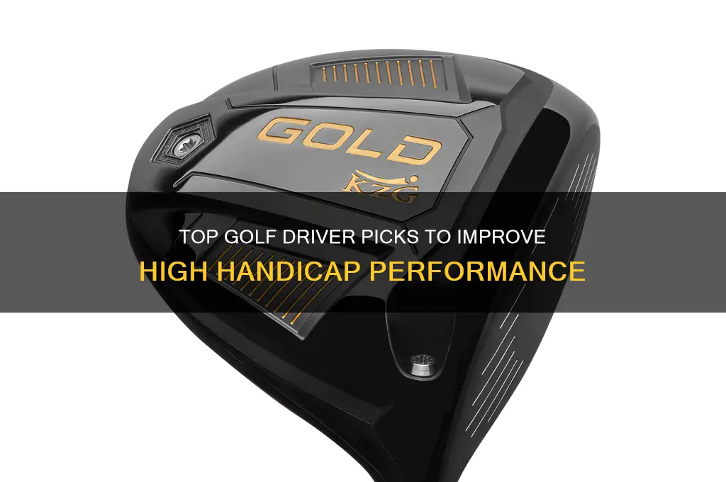 what is the best driver for a high handicap golfer