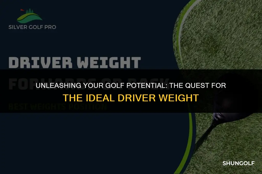 what is the best driver wgt golf