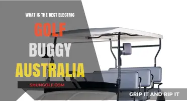 Top Electric Golf Buggies in Australia: A Comprehensive Guide