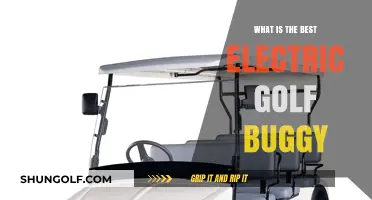 Exploring the Top Electric Golf Buggies: A Comprehensive Guide