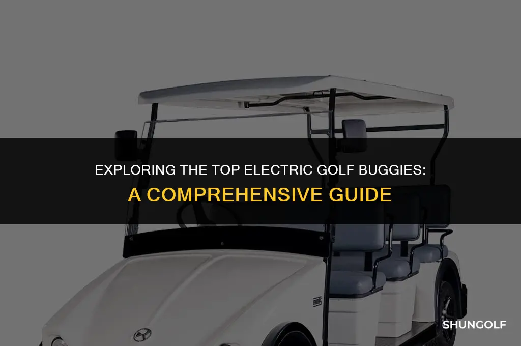 what is the best electric golf buggy