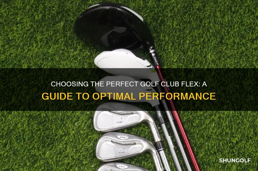what is the best flex for golf clubs