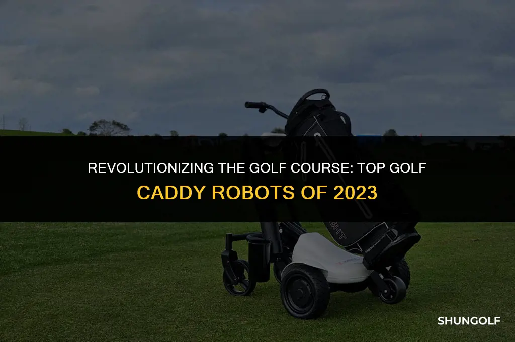 what is the best golf caddy robot