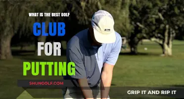Mastering the Green: Top Golf Club Picks for Precision Putting