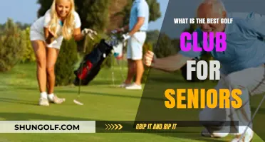 Top Senior-Friendly Golf Clubs for Enhanced Performance and Comfort