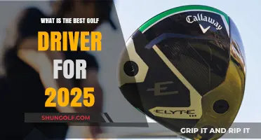 Unleash Your Swing: Top Golf Drivers of 2025 Revealed