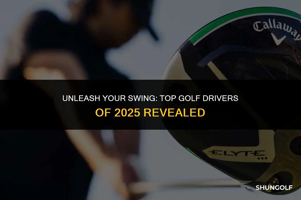 what is the best golf driver for 2025