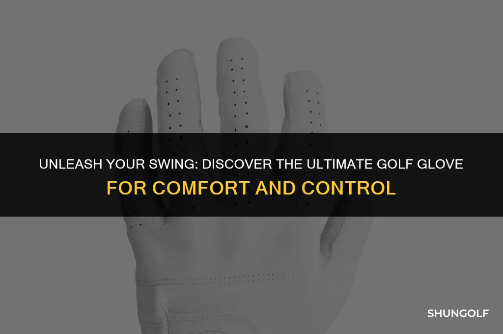 what is the best golf glove