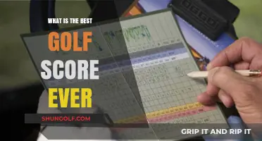 Unleashing Golf Greatness: The Quest for the Perfect Score